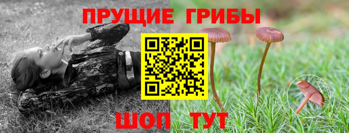 Улан-Удэ  цены наркотик  Вход с VPN  Псилоцибиновые грибы Magic Shrooms 