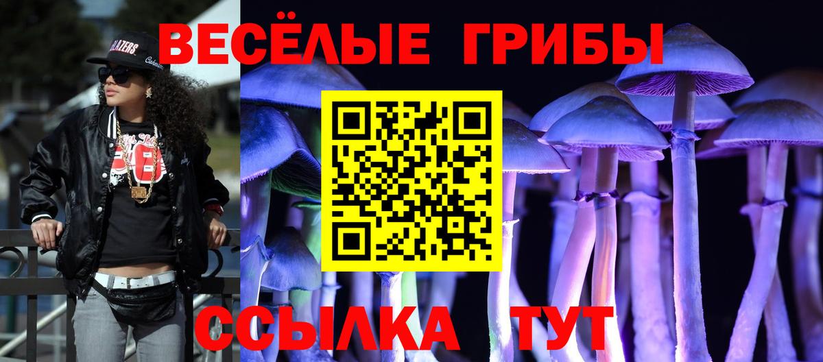 Псилоцибиновые грибы мицелий Улан-Удэ